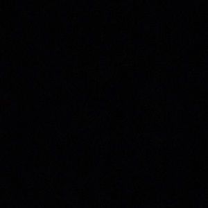 Meet your Posher, Albert